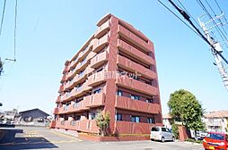 ドーチェスター 303