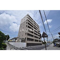 アマルフィーノグラン 602