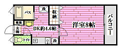 イーストビレッヂモリツウ 1DKの間取図画像