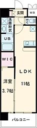 プレミア片野 1LDKの間取図画像