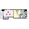 CasaFelicia5階5.7万円