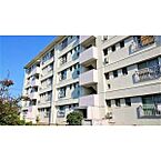 埼玉県八潮市大字伊草377：物件画像／大東建託リーシング株式会社　松戸駅前店