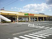 【スーパー】ヨークベニマル台新店まで1197ｍ