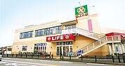 【スーパー】ライフ相模原若松店まで1033ｍ