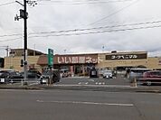 【スーパー】ヨークベニマル　相馬店まで1611ｍ