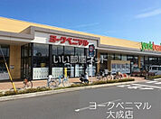 【スーパー】ヨークベニマル大成店まで1525ｍ