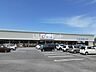 周辺：【ドラッグストア】カワチ薬品 赤塚店まで1039ｍ