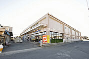 【ホームセンター】ケーヨーデイツー 東岩槻店まで793ｍ