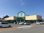 【スーパー】サニーみいまち店まで1176ｍ