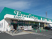 【ドラッグストア】エバグリーン桜井店まで2252ｍ