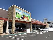 【スーパー】マルヨシセンター 　茜町店まで1617ｍ