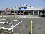 【スーパー】ビッグ・エー 白岡店まで797ｍ