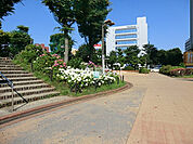 【公園】津田沼公園まで311ｍ
