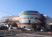 【スーパー】ラピタ 本店まで779ｍ
