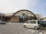 【スーパー】ドミー 吉良店まで336ｍ