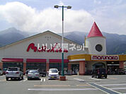 【スーパー】マルナカ土居店まで3707ｍ