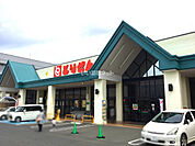 【スーパー】とりせん美しが丘店まで2400ｍ