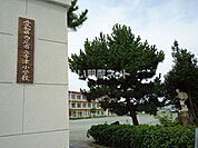 【小学校】西尾市立寺津小学校まで764ｍ