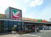 【スーパー】ヨークベニマル仙台愛子店まで1131ｍ