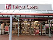 【スーパー】市が尾 東急ストアまで1526ｍ