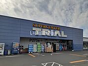【スーパー】スーパーセンタートライアル 小林店まで1530ｍ