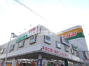 【ディスカウントショップ】ジャパン羽曳野店まで1157ｍ