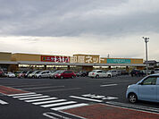 【生活雑貨店】ザ・ダイソーヨークタウン老野森店まで318ｍ