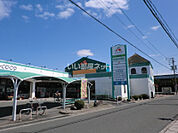 【スーパー】Aコープ 長島店まで1248ｍ