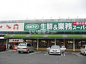 【スーパー】中央フード 柳井店まで1723ｍ