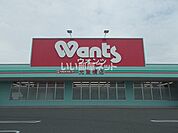 【ドラッグストア】ウォンツ室積店まで2664ｍ