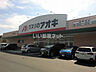 周辺：【ドラッグストア】クスリのアオキ新池店まで1317ｍ