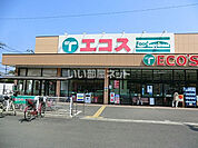 【スーパー】エコスＴＡＩＲＡＹＡ川越霞ヶ関店まで173ｍ