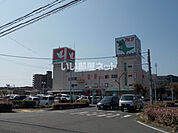 【スーパー】アルタ（平和堂）まで115ｍ