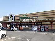 【スーパー】ダイユー野崎店まで307ｍ