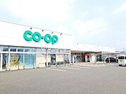 【スーパー】コープかごしま かせだ店まで486ｍ
