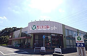 【スーパー】たいらや 自治医大店まで731ｍ