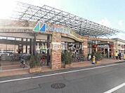 【スーパー】マルフジ千ヶ瀬店まで1553ｍ