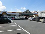 【スーパー】サンユーストアー 東多賀店まで768ｍ