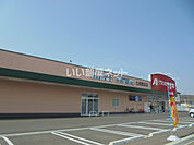 【ドラッグストア】クスリのアオキ　土岐肥田店まで1262ｍ
