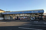 【ドラッグストア】ドラッグストア木のうた 法隆寺店まで917ｍ
