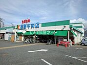 【スーパー】生鮮市場JC長野中央店まで400ｍ