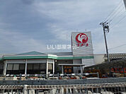 【ホームセンター】コメリハード&グリーン関宿店まで1628ｍ