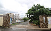 【小学校】福岡市立室見小学校まで481ｍ