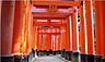 周辺：【寺院・神社】伏見稲荷大社まで1303ｍ