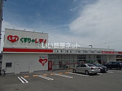 【ドラッグストア】くすりのレデイ 南鳥生店まで1697ｍ