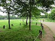 【公園】柏の宮公園まで725ｍ
