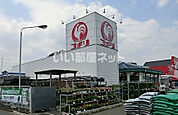 【ホームセンター】コメリハード＆グリーン保谷北町店まで395ｍ