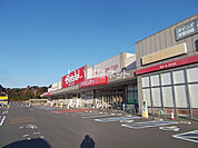 【スーパー】ベイシアフードセンター御前崎店まで506ｍ