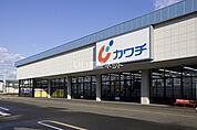 【ドラッグストア】カワチ薬品 水戸千波店まで1199ｍ