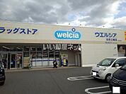【ドラッグストア】ウエルシア　長野三輪店まで478ｍ